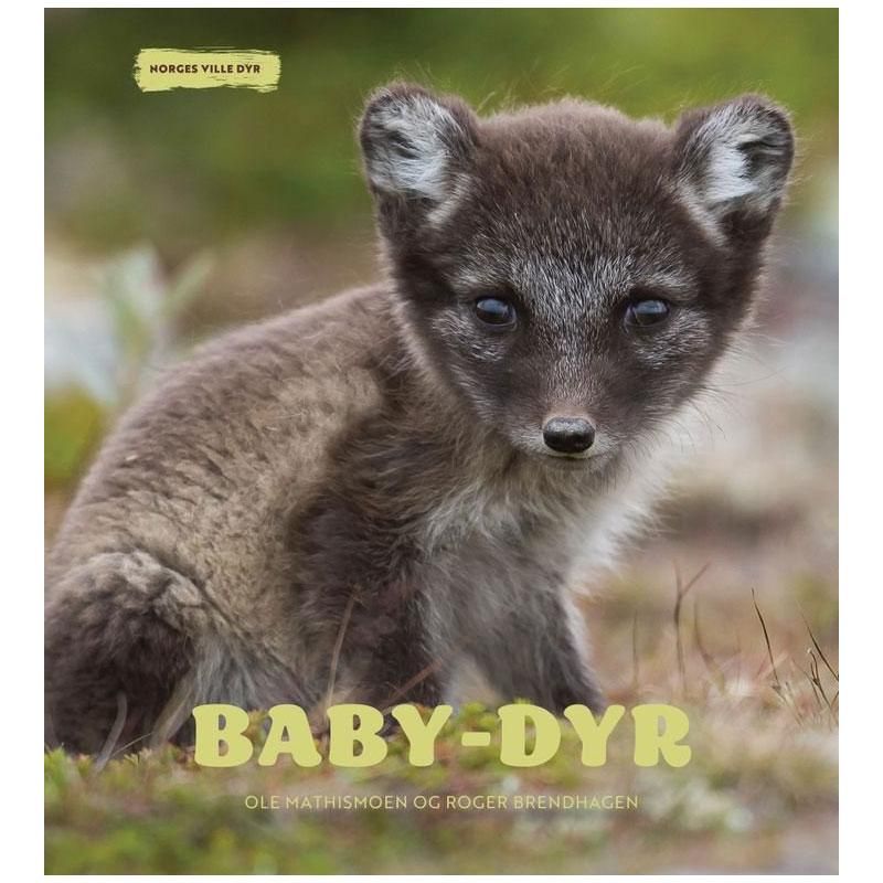 Norges ville dyr - Baby-dyr
