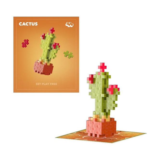 Hovedbilde Plus-Plus - Plant Pack - Cactus