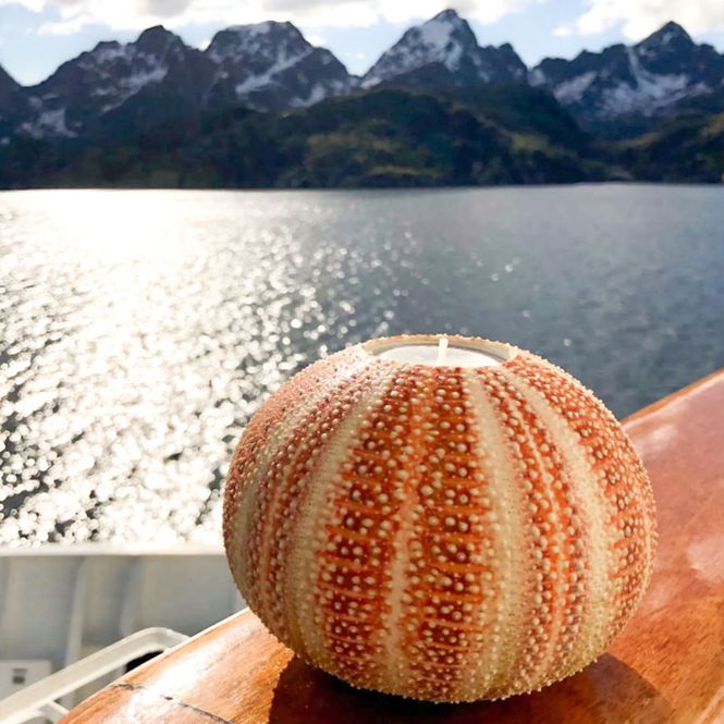 Hovedbilde Nyt Lofoten - Nusfjordbollen kråkebollelys stor