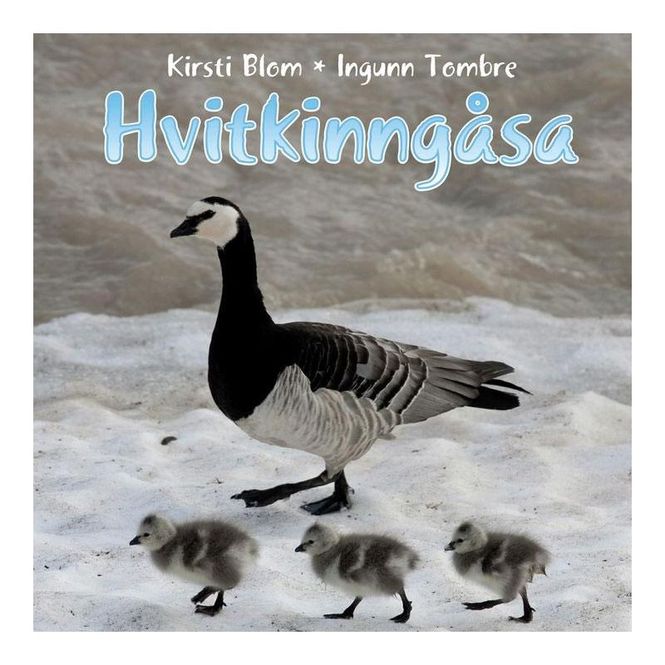 Hovedbilde Hvitkinngåsa