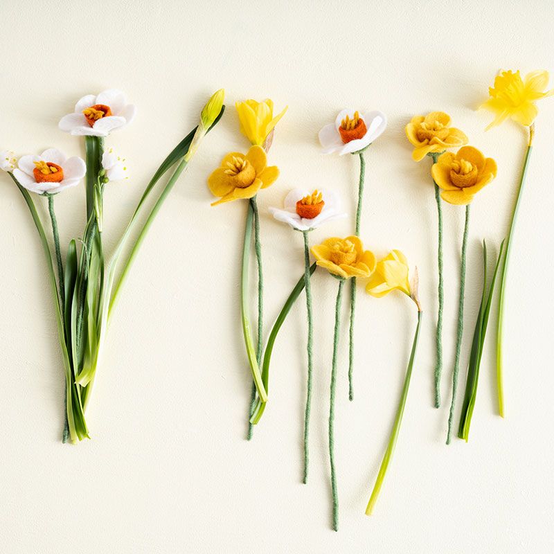Aveva - Endless flower - Daffodil yellow