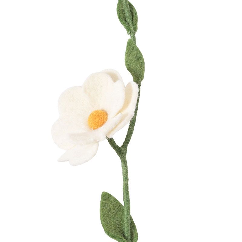 Aveva - Endless flower - Wild rose white