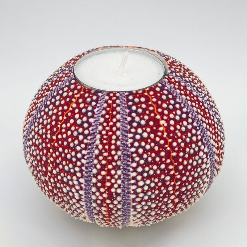 Nyt Lofoten - Kråkebollelys medium